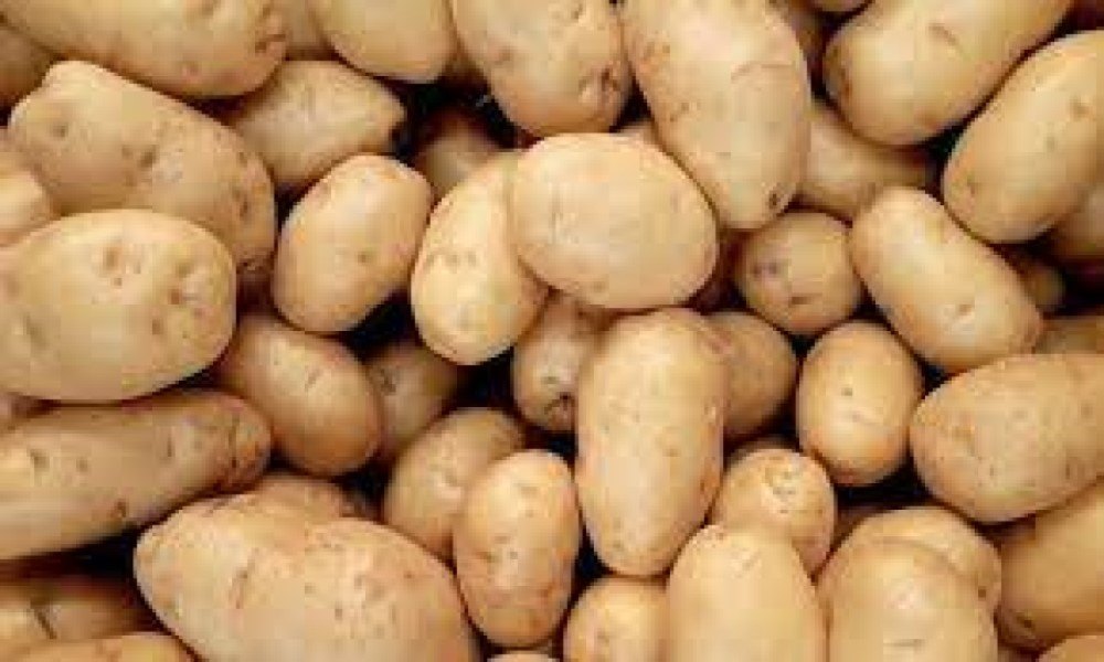 Jyoti Aloo